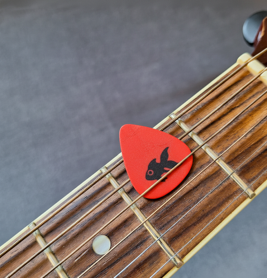 Fun Guitar Picks: Fish in Bag