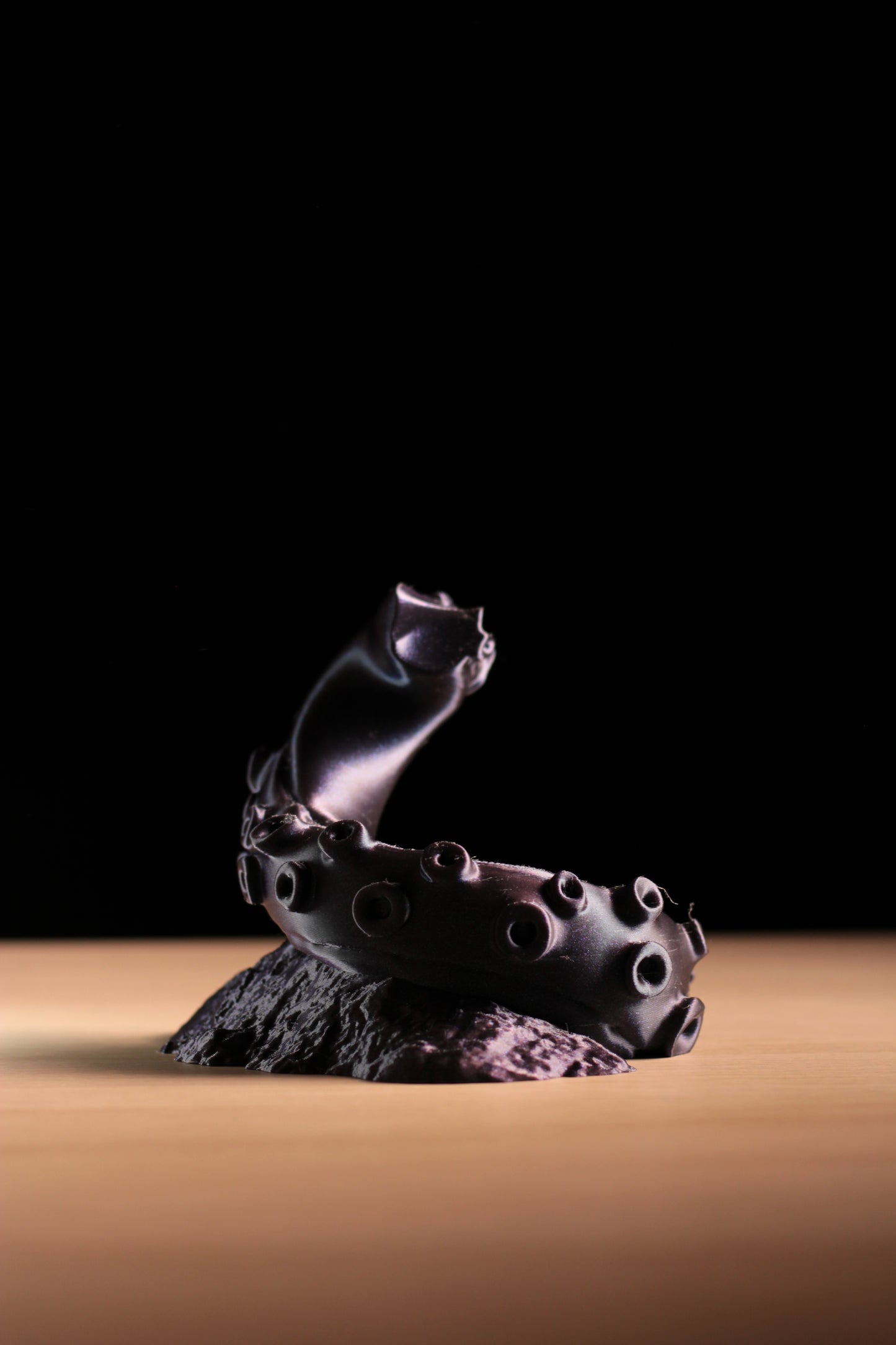 Kraken's Grip - Switch 2 Controller Stand