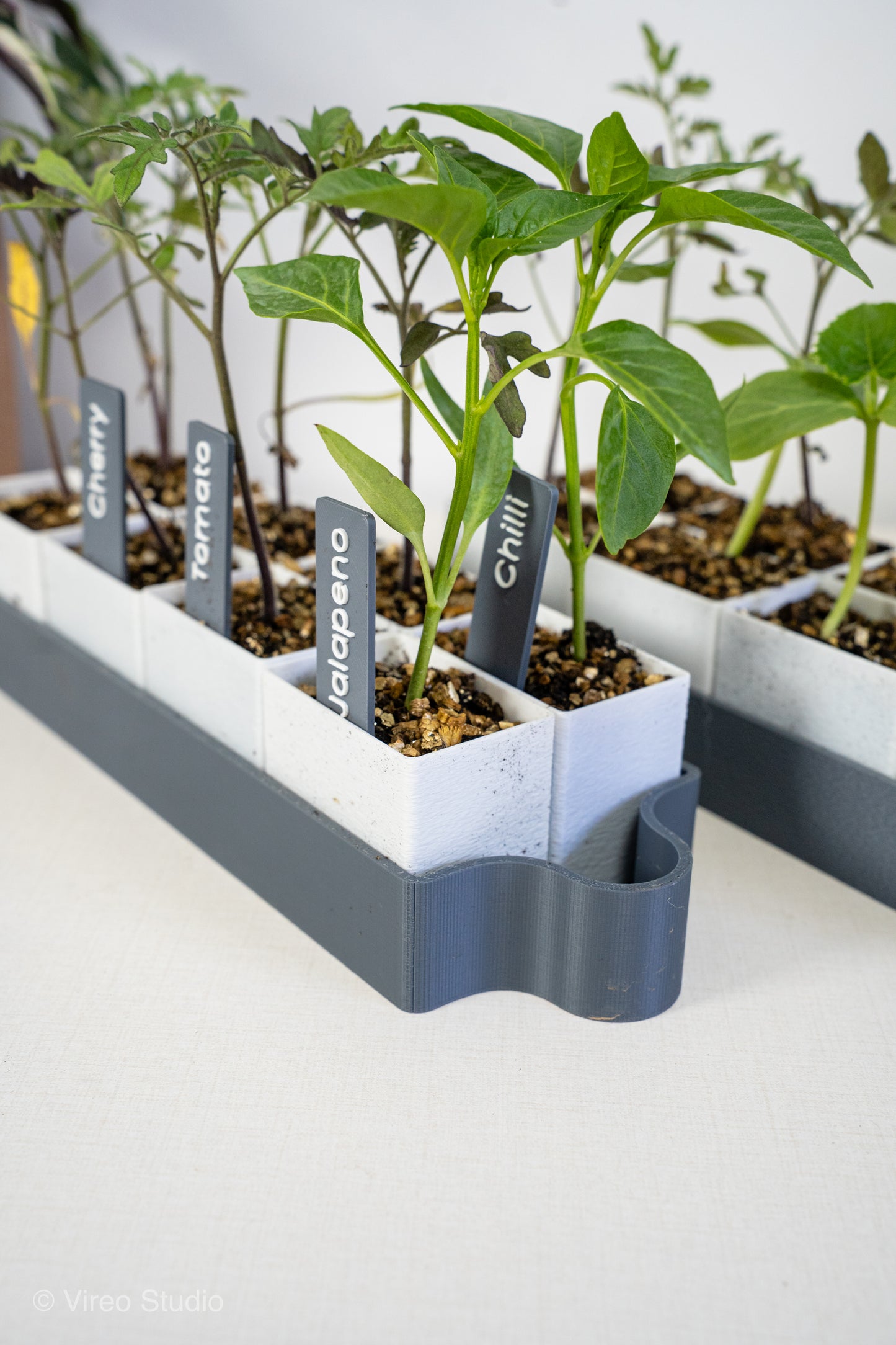 GrowMate 8 | Self-Watering Seed Starter Kit - 8 Pot Edition