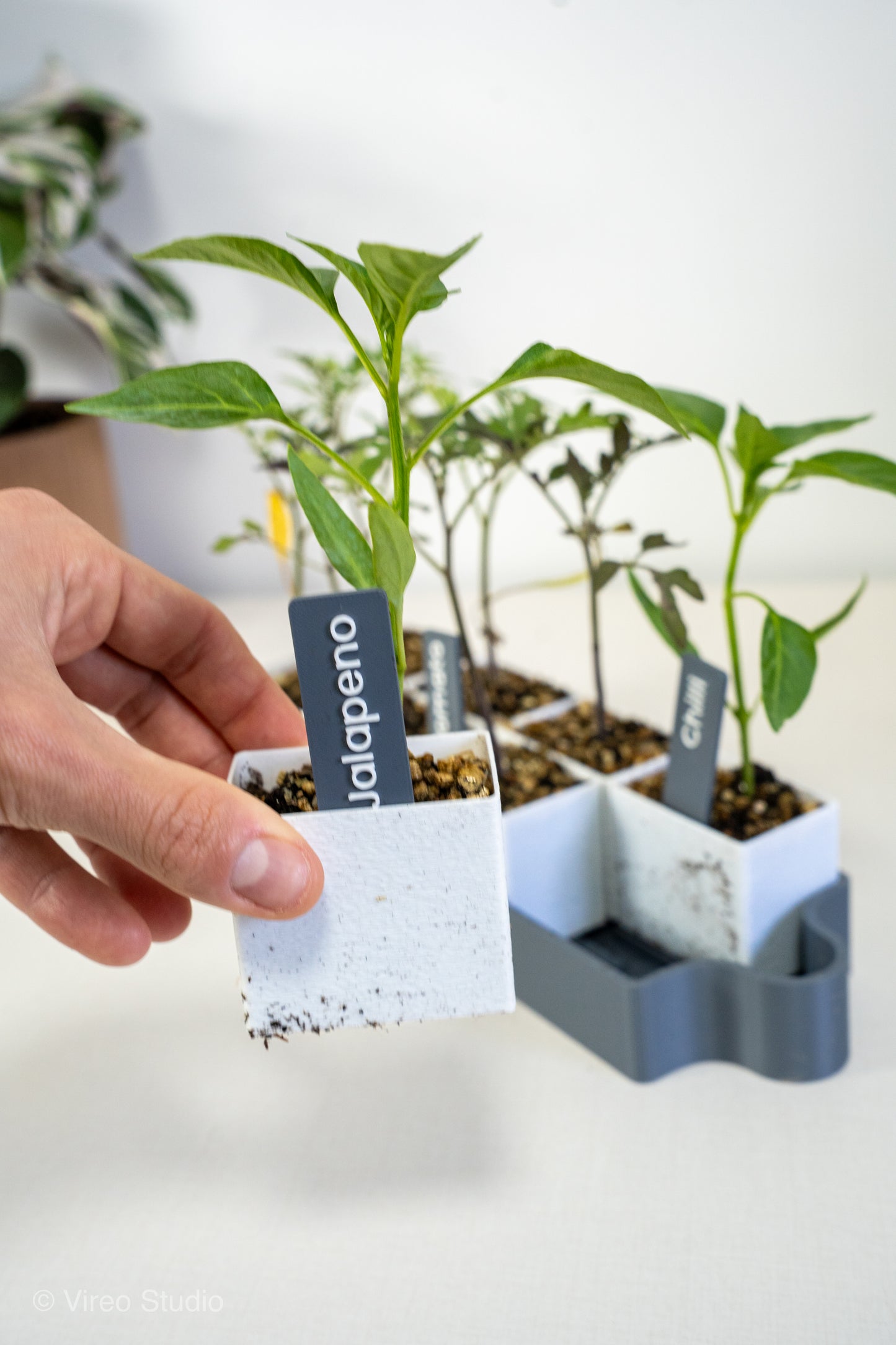 GrowMate 8 | Self-Watering Seed Starter Kit - 8 Pot Edition