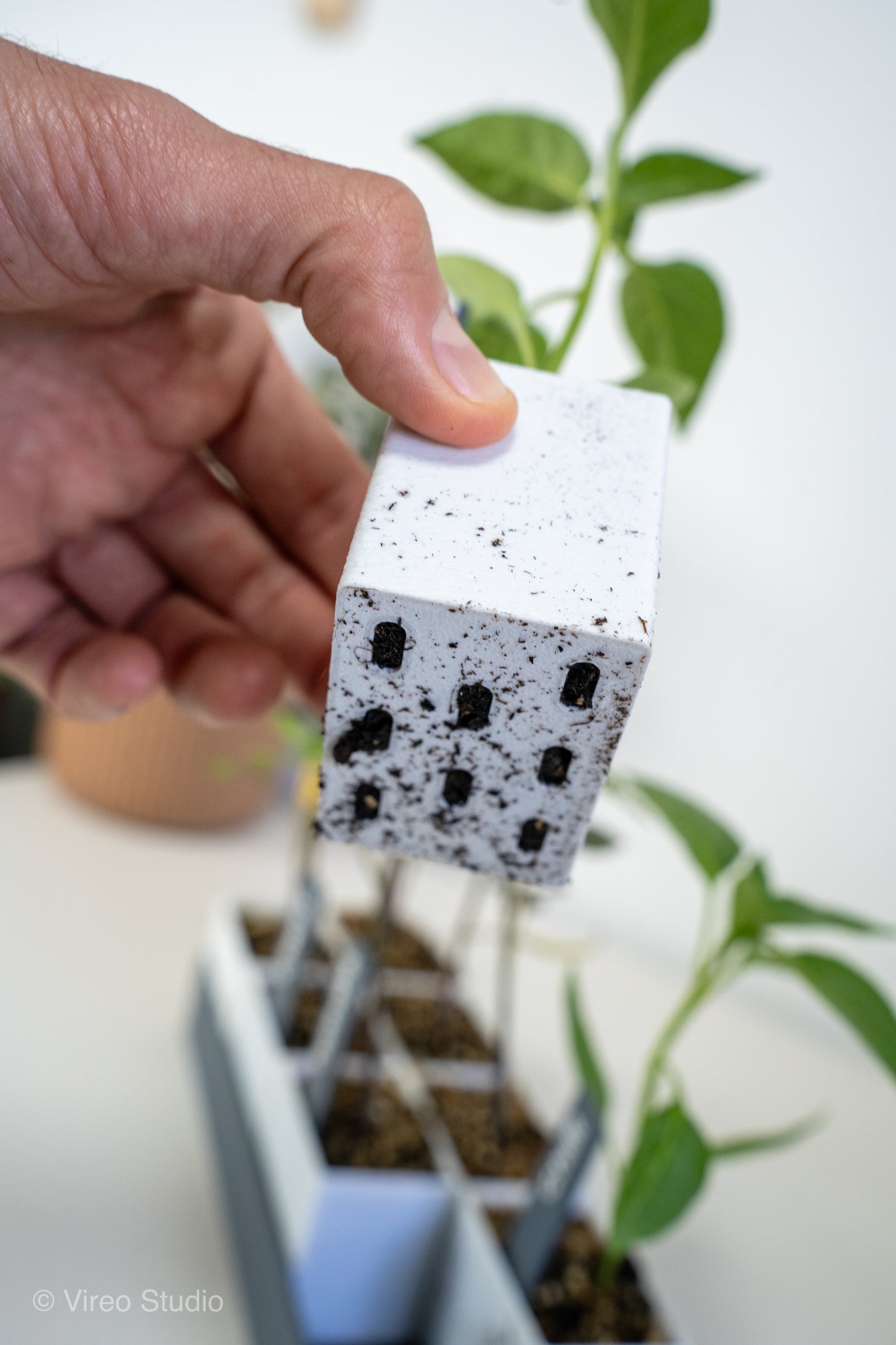 GrowMate 8 | Self-Watering Seed Starter Kit - 8 Pot Edition