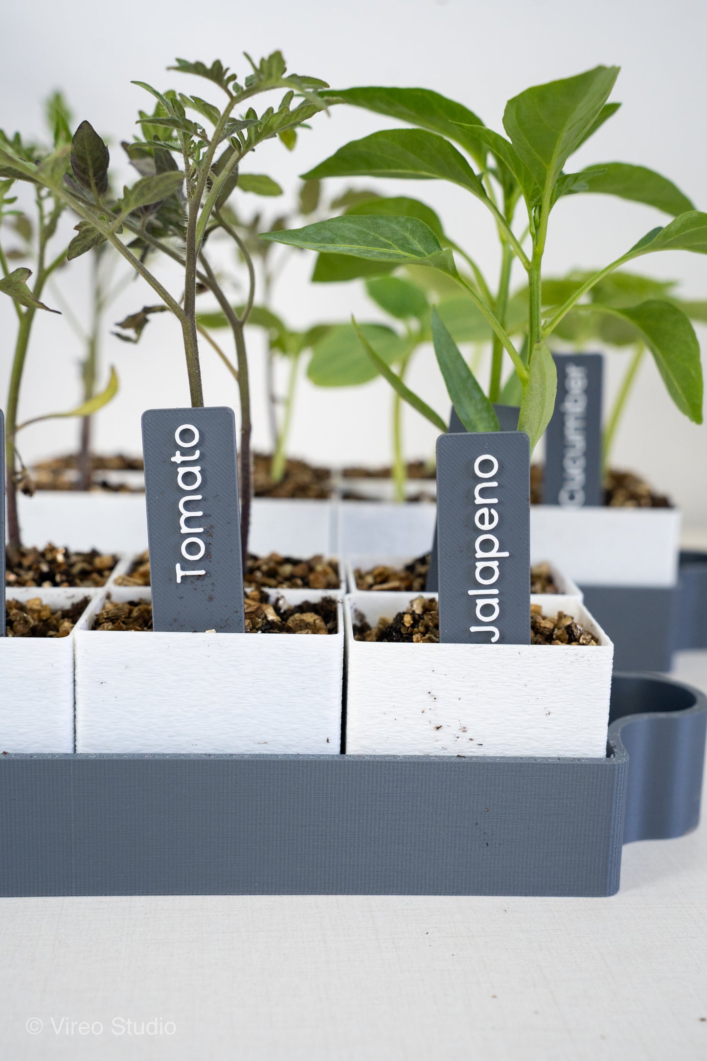 GrowMate 8 | Self-Watering Seed Starter Kit - 8 Pot Edition