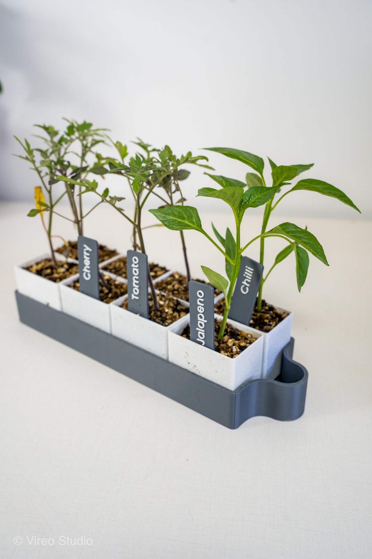 GrowMate 8 | Self-Watering Seed Starter Kit - 8 Pot Edition