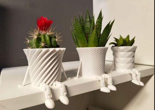 Mini Cactus Family Flower pots