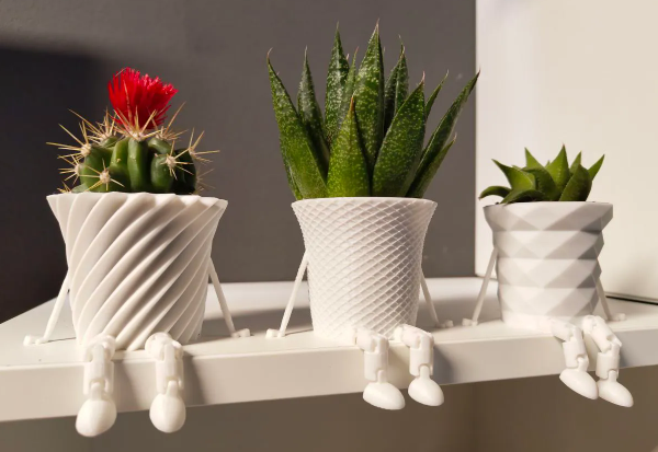 Mini Cactus Family Flower pots