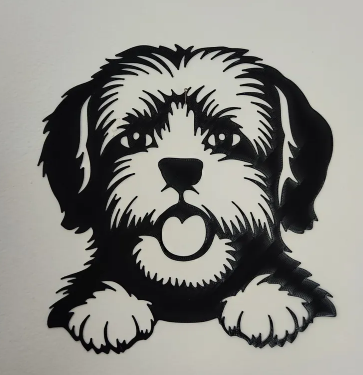 Shih-TZU